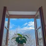 Bellavista *